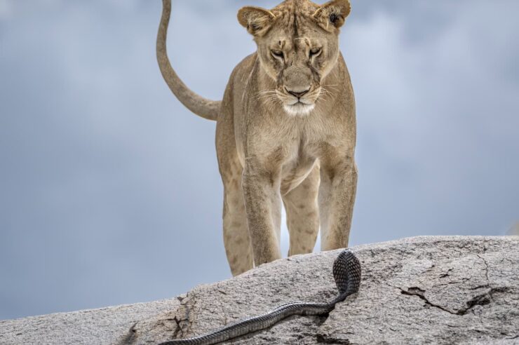 Image for What went right this week: Europe’s people-first city, plus more