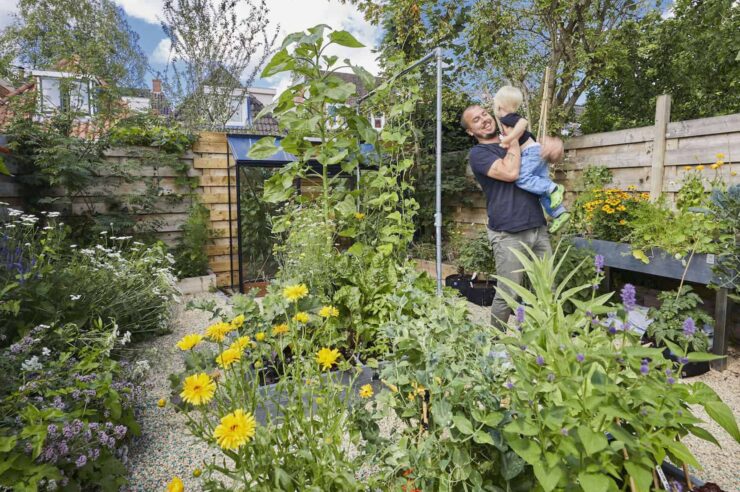 Image for The Dutch ‘tile whipping’ competition to green gardens and streets