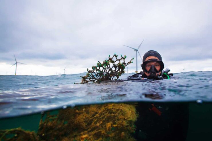 Image for Meet the ghost hunters: the volunteer divers cleaning up UK seas