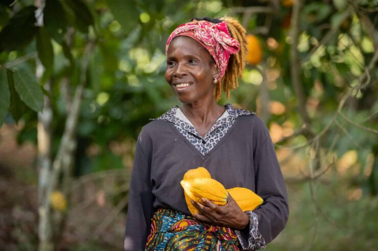 Image for Fairtrade certification changed the way we shop. Where is it headed now?