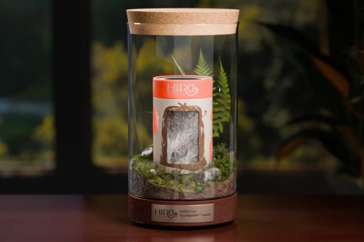 Image for Spore and peace: fungi power a quiet revolution in nappy waste