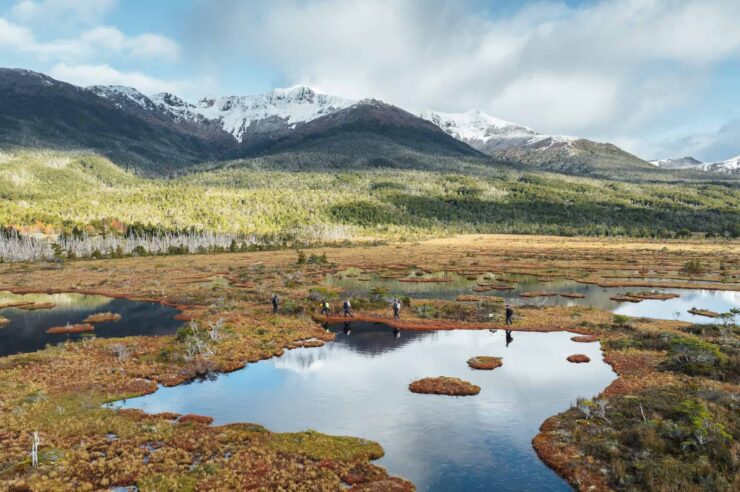 Image for What went right this week: conservation at ‘end of the world’, plus more