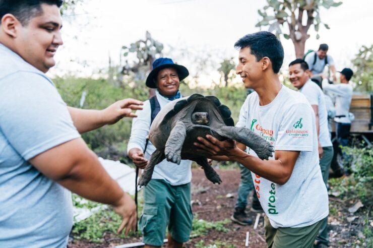 Image for What went right this week: a giant returns, plus more