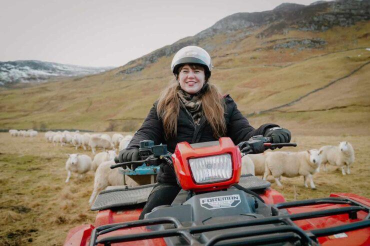 Image for Culled national park deer to provide venison for local schools and food banks  