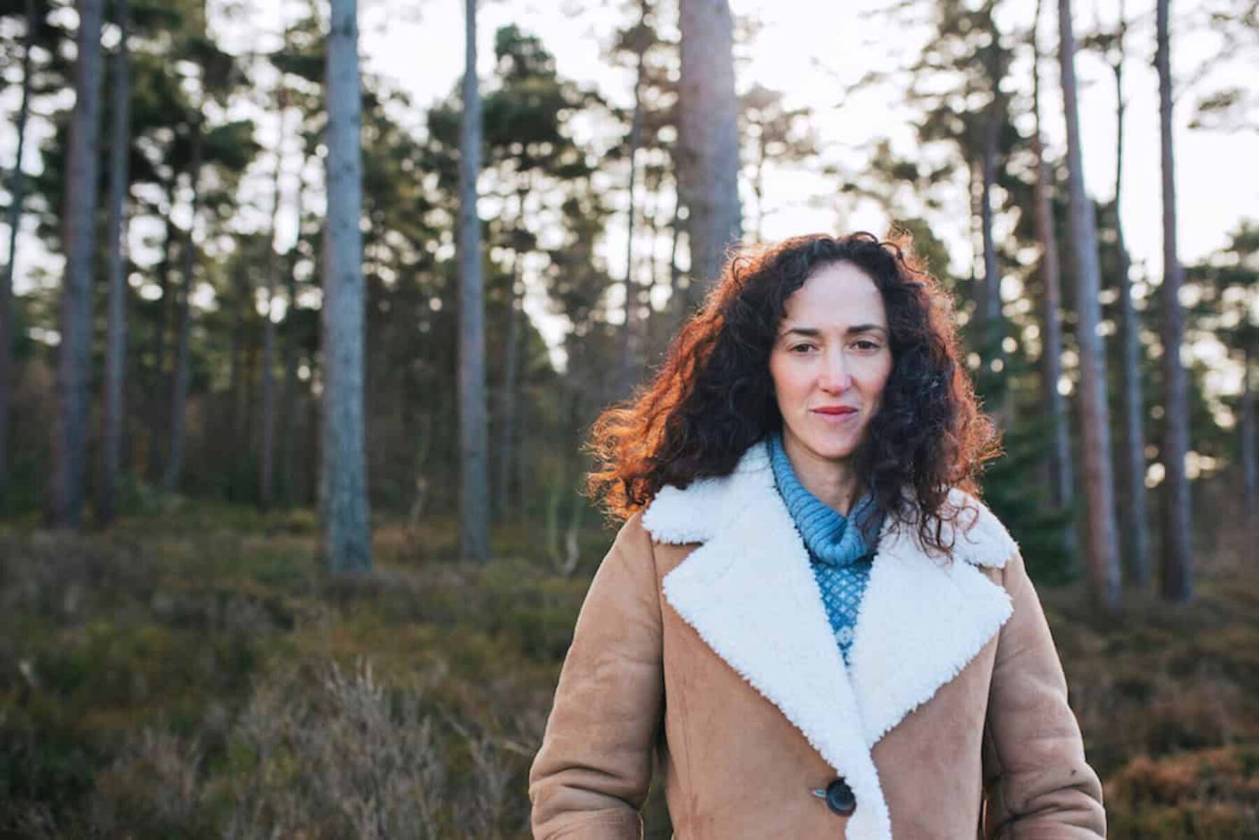 Image for Giving non-human beings a seat at the table: Animals in the Room