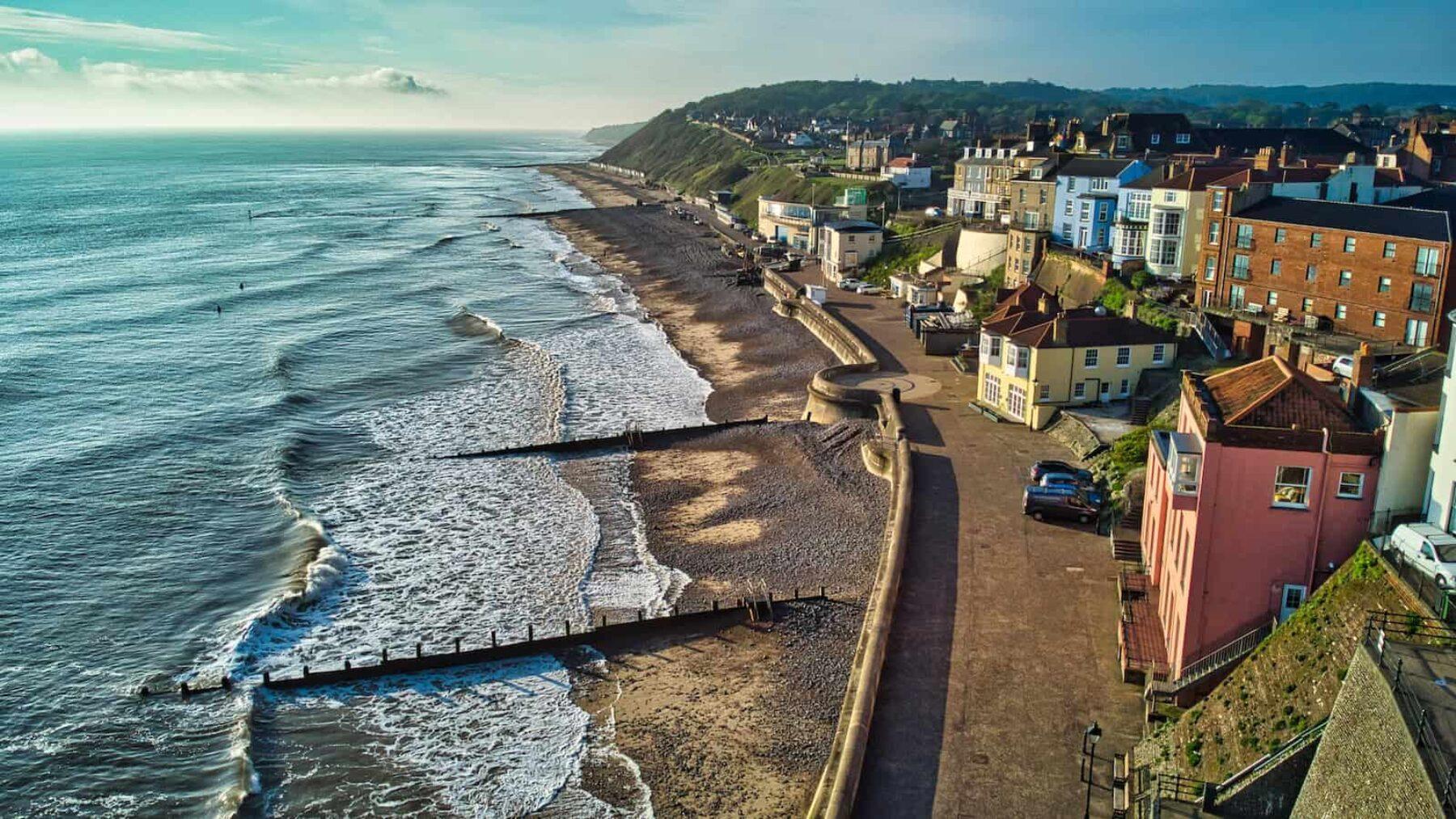 Image for A vast oyster reef is about to transform the English coast