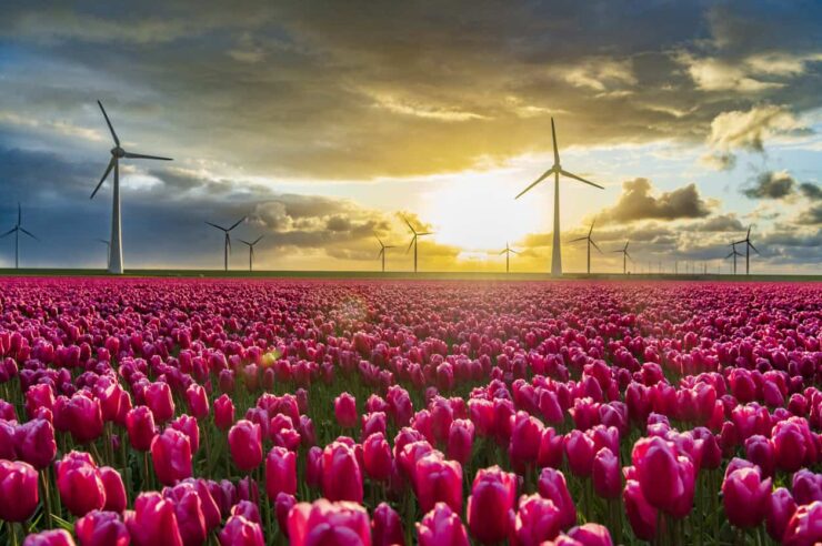 Image for Total net greenhouse gas emissions in the EU dropped by 8% last year