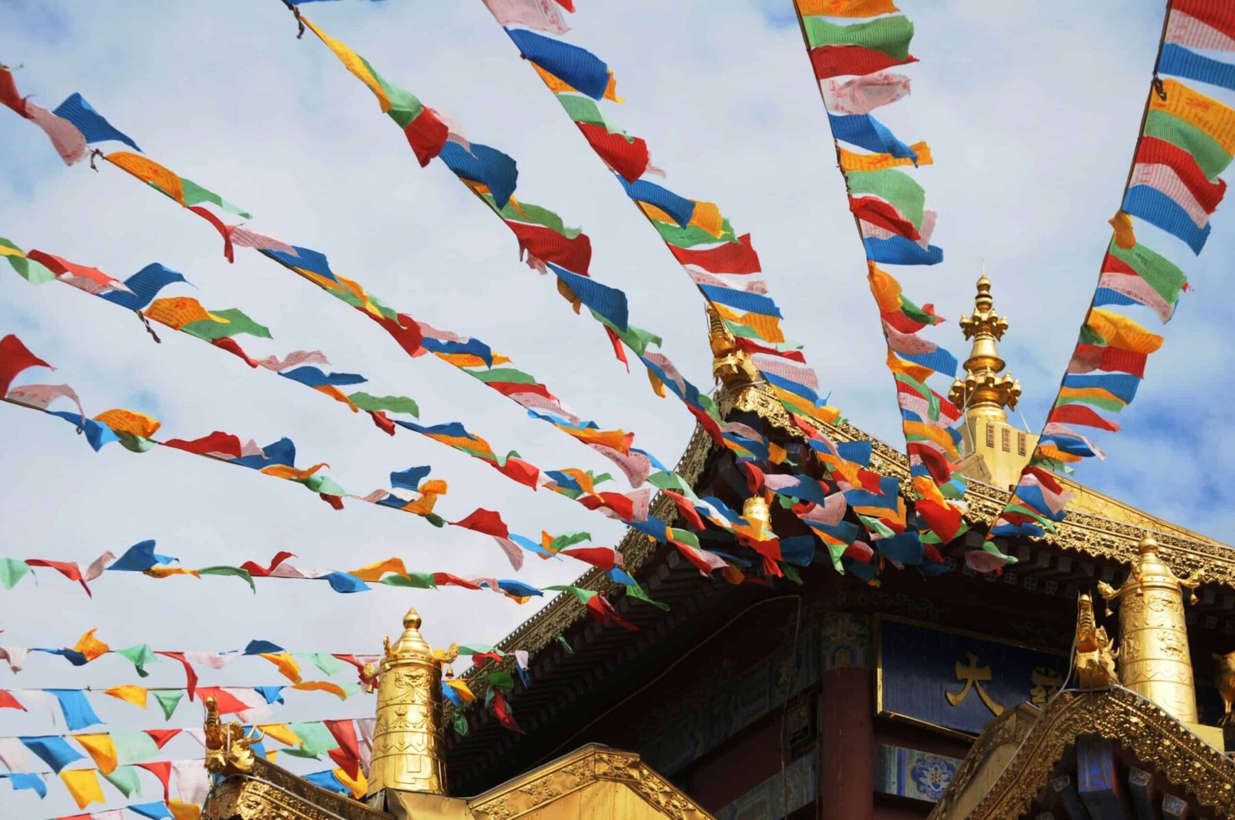 Image for Hearing the world’s wonders: project shares hundreds of audible gems