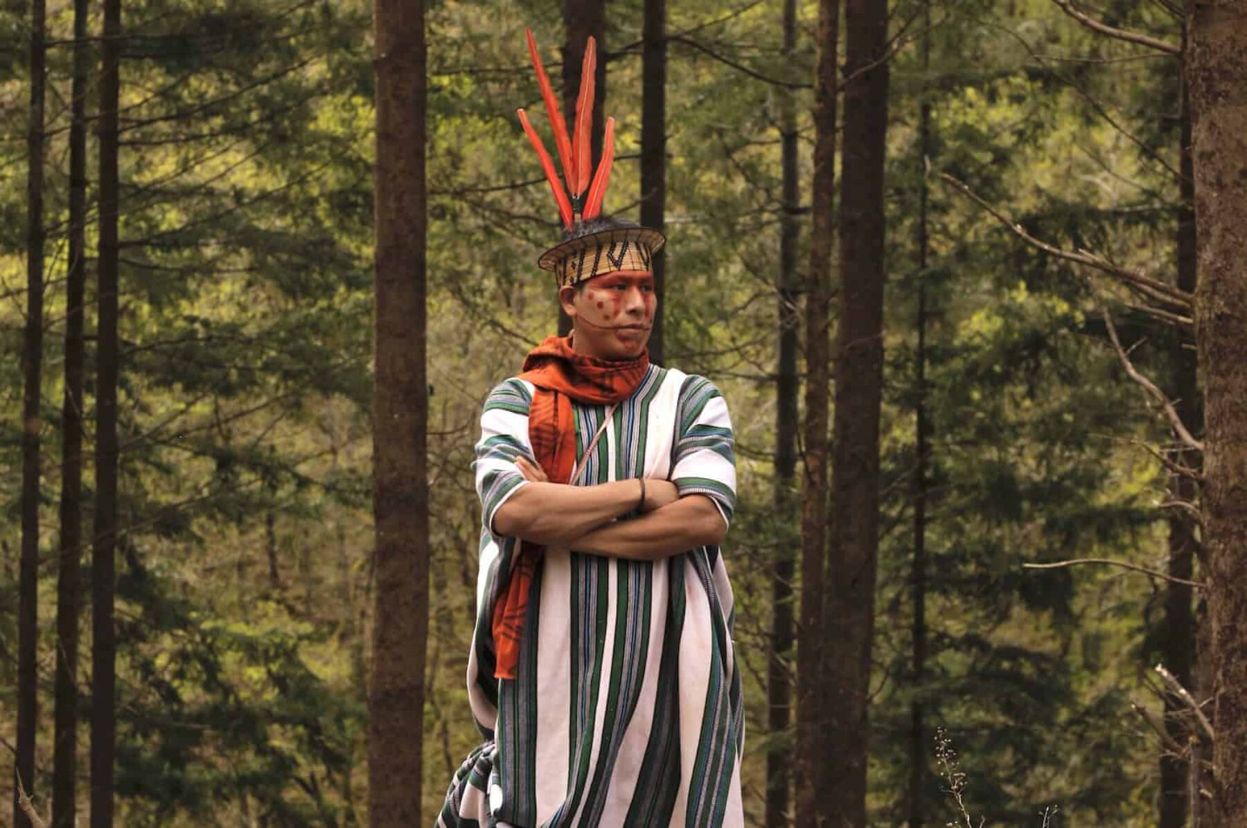 Image for From Brazil to Britain: rainforest guardians unite in a bid to heal the land