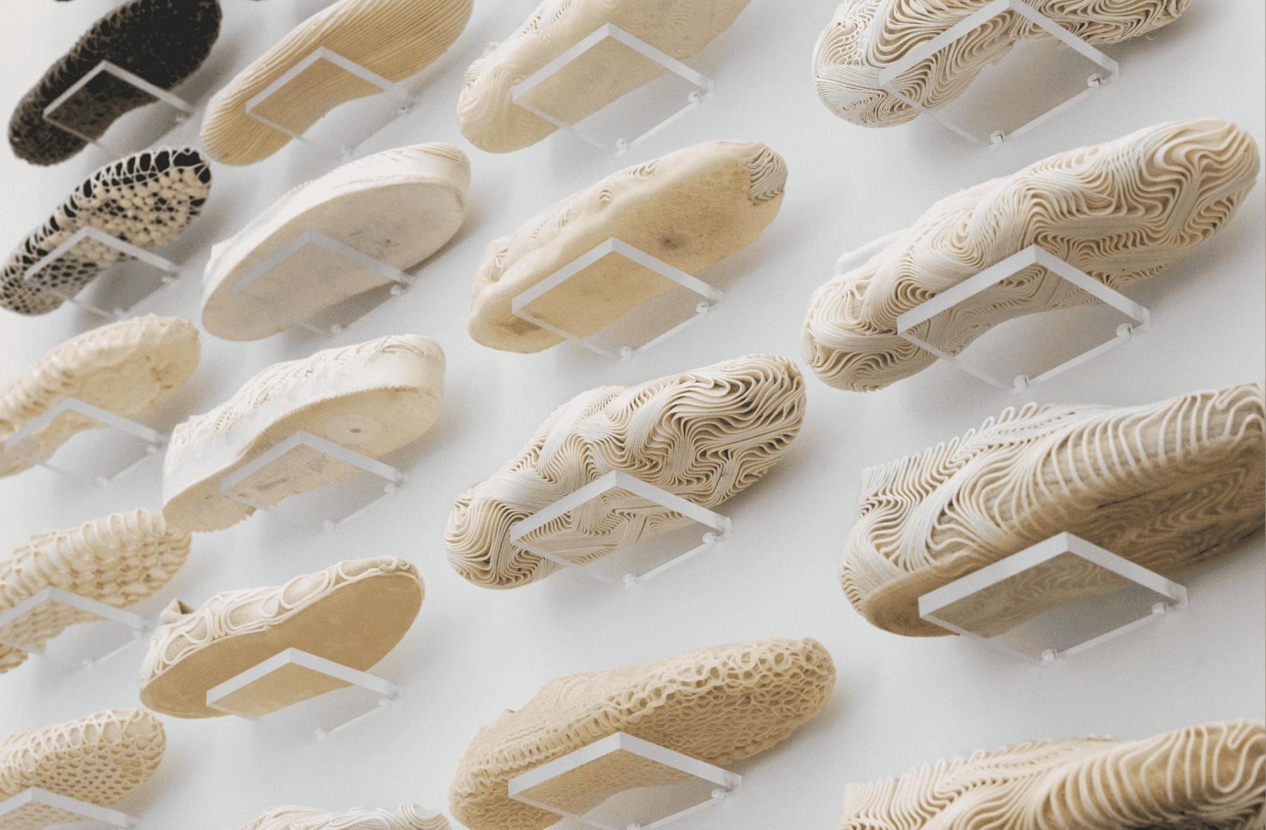 Image for Step forward the ‘fully biodegradable’ shoe that leaves no footprint